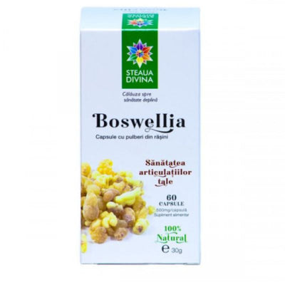 Boswellia Anti-Inflammatory Arthritis, Bronchitis, Asthma, Urinary Tract Support